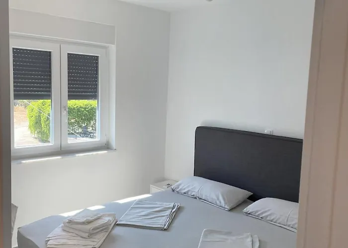 C-views تروغير