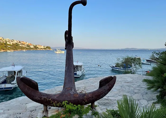 C-views * تروغير